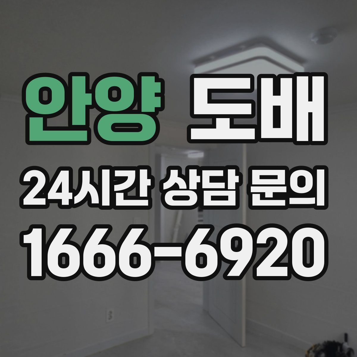 안양 도배