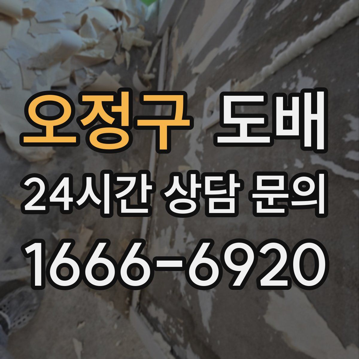 오정구 도배