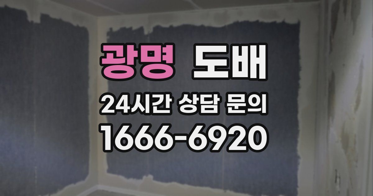 광명 도배