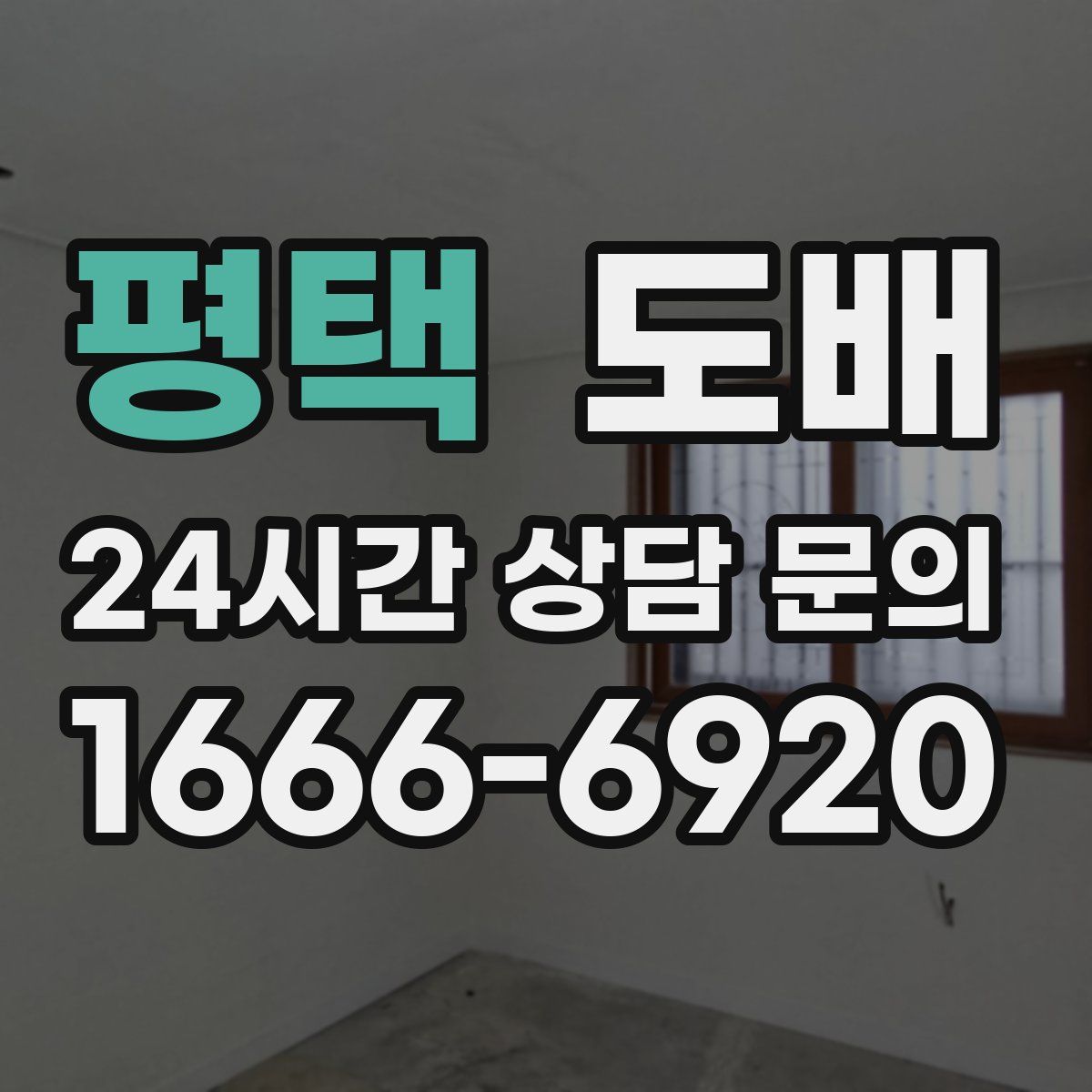 평택 도배