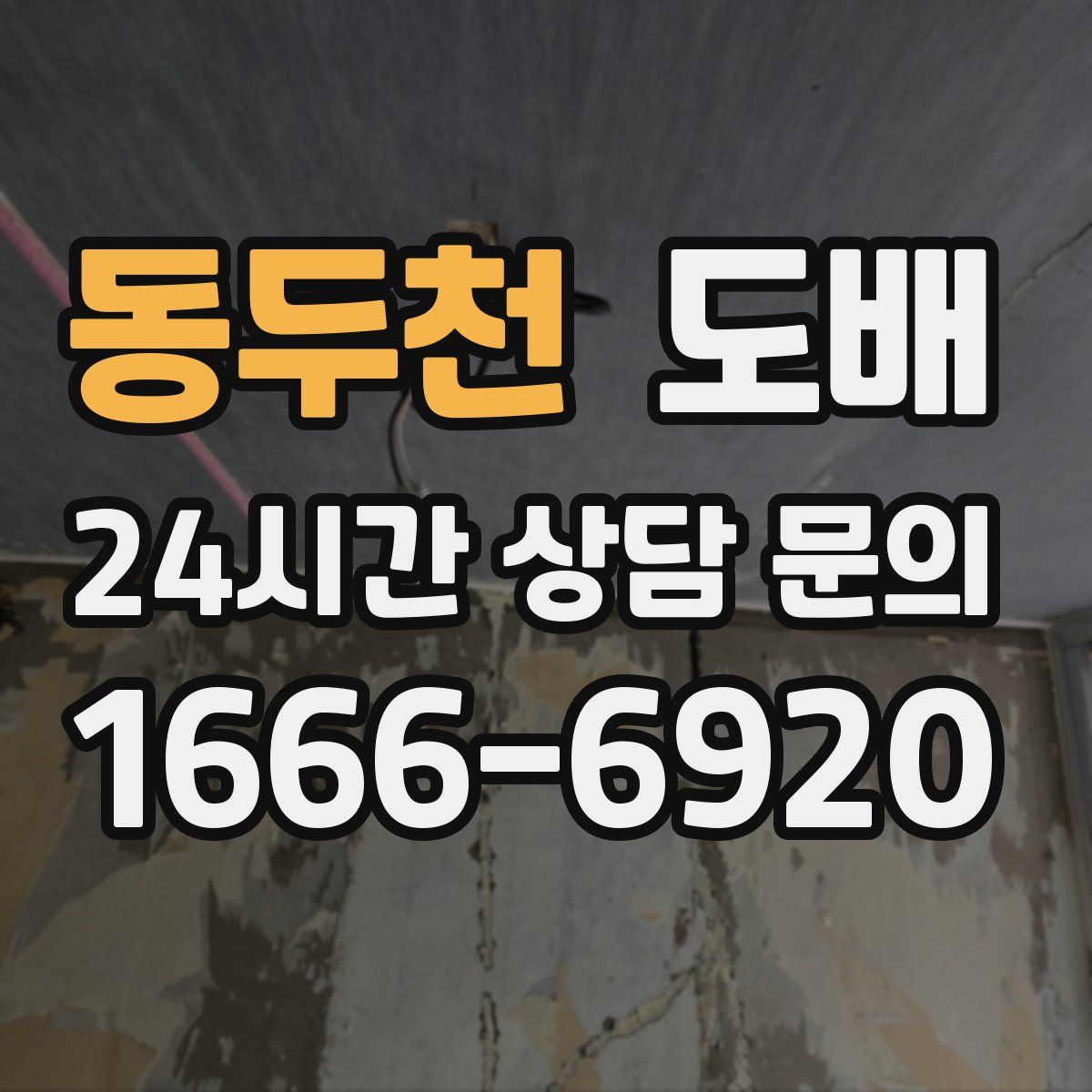 동두천 도배