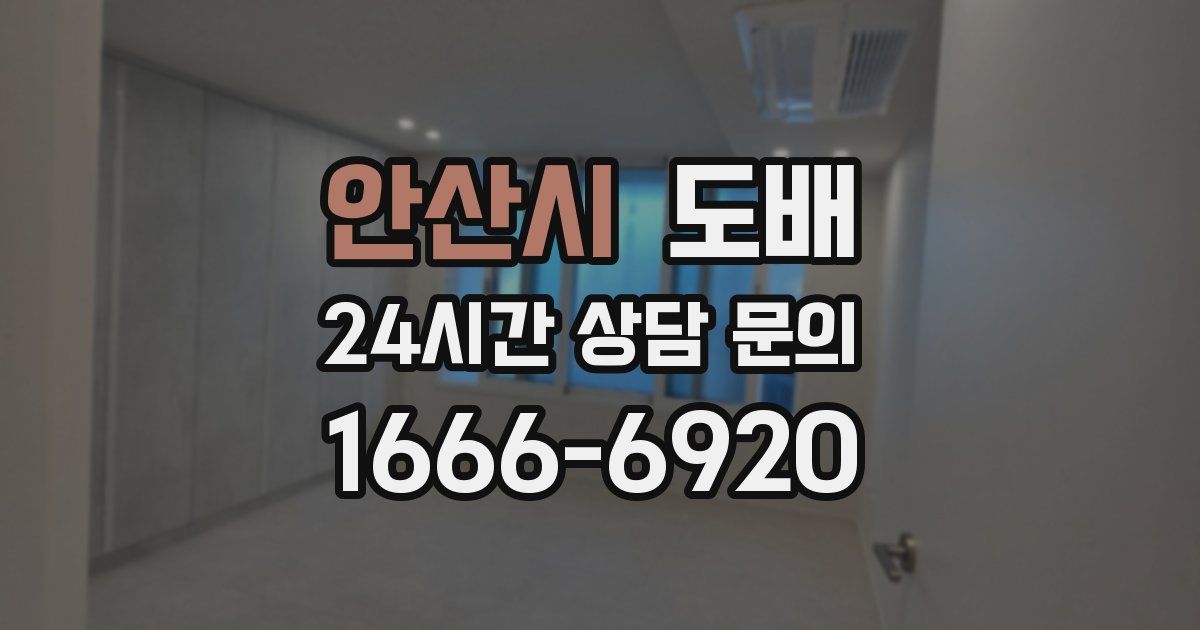 안산시 도배