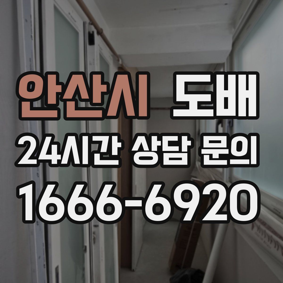 안산시 도배