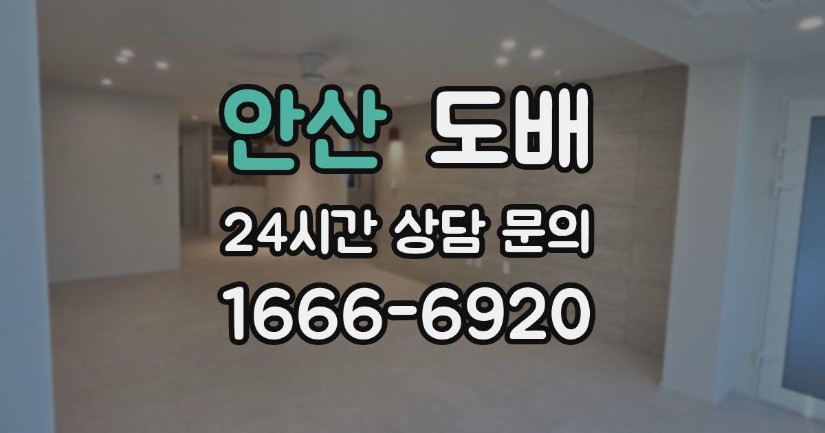 안산 도배