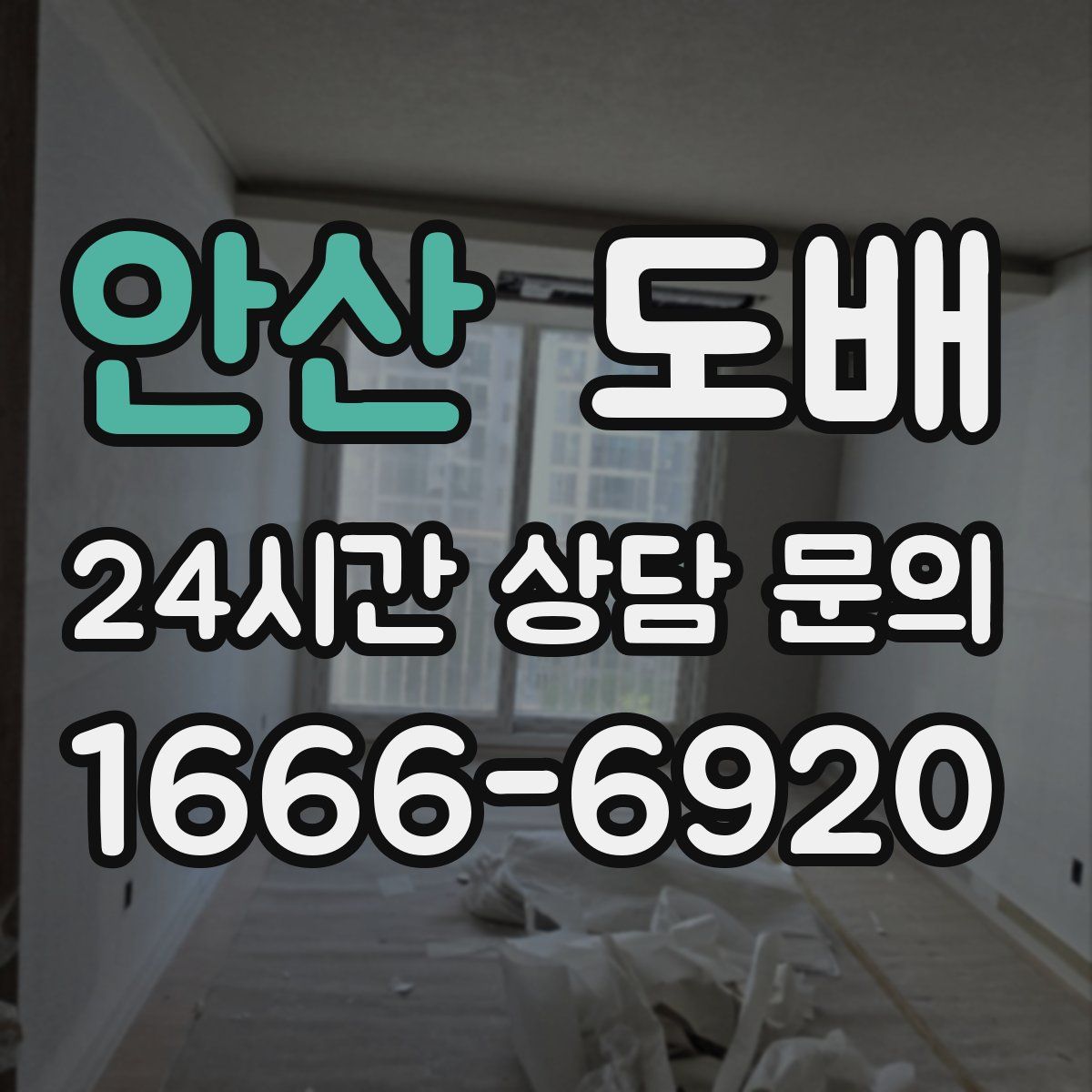 안산 도배