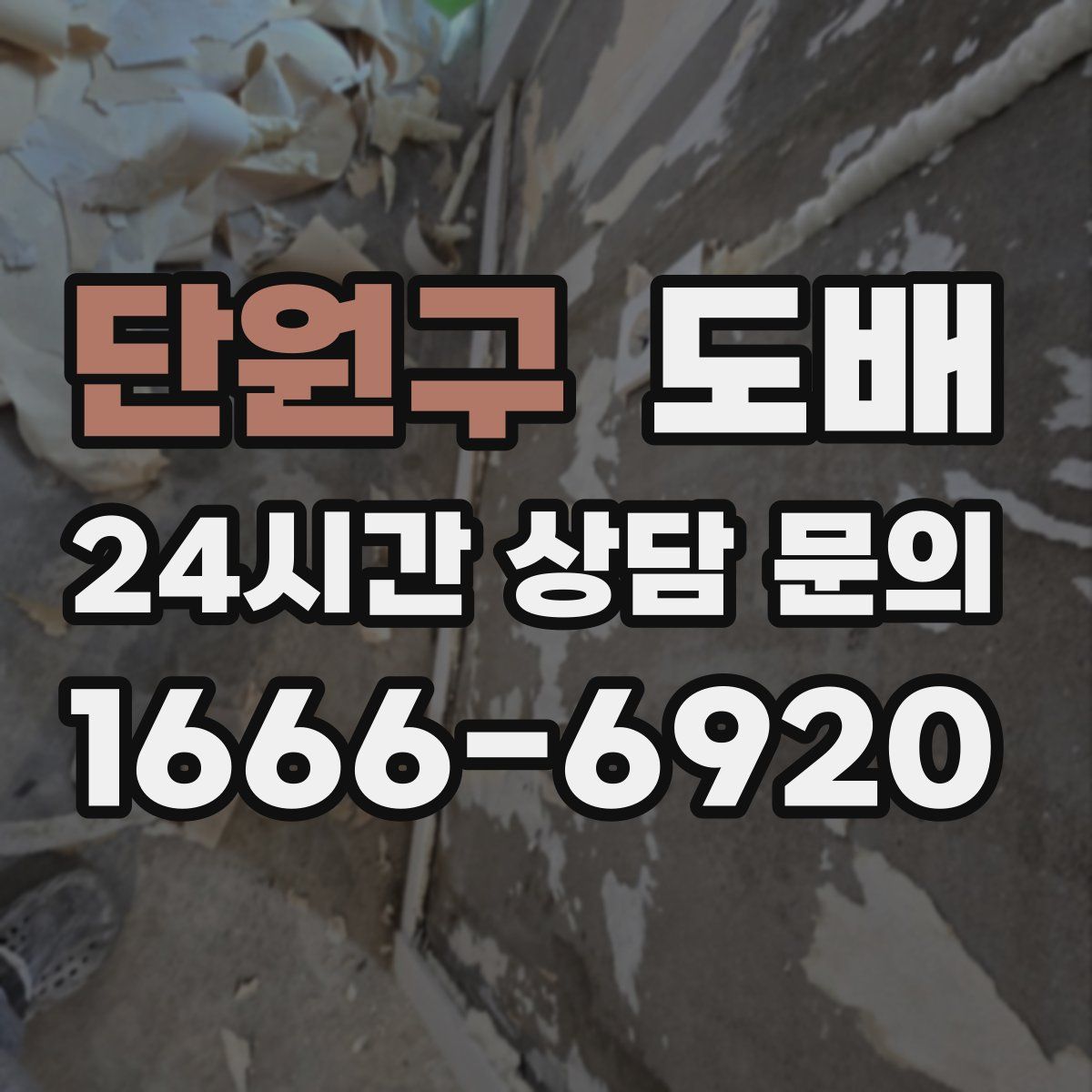 단원구 도배