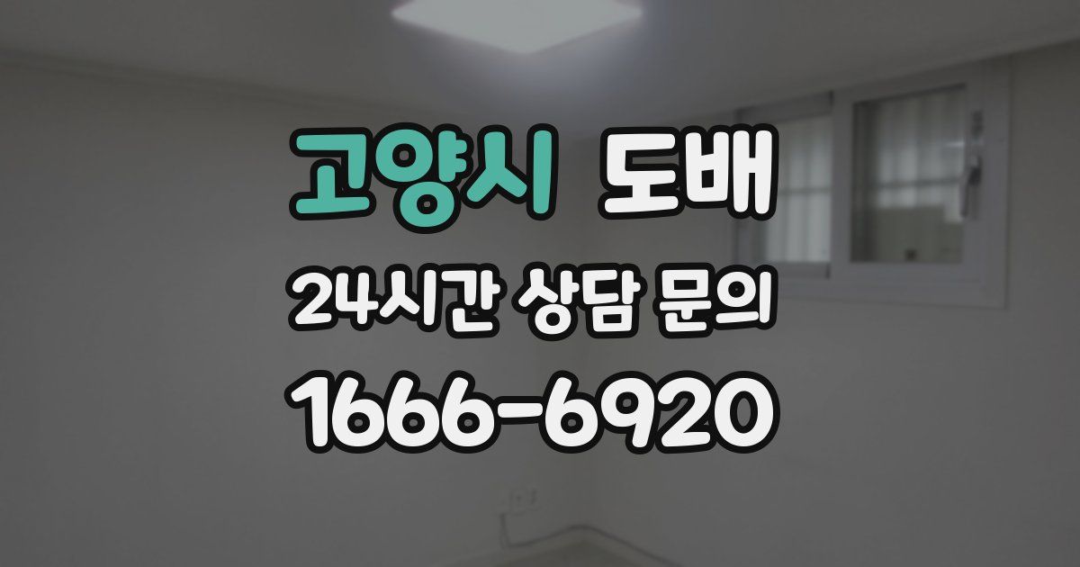 고양시 도배