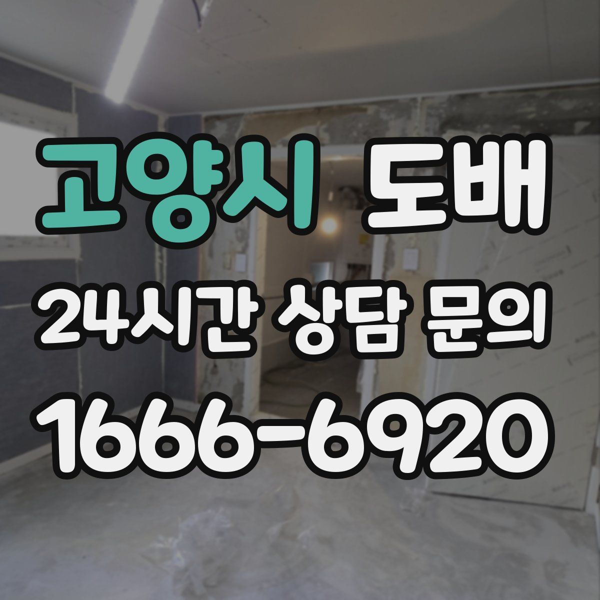 고양시 도배