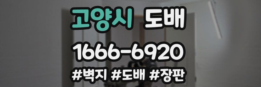 고양시 도배