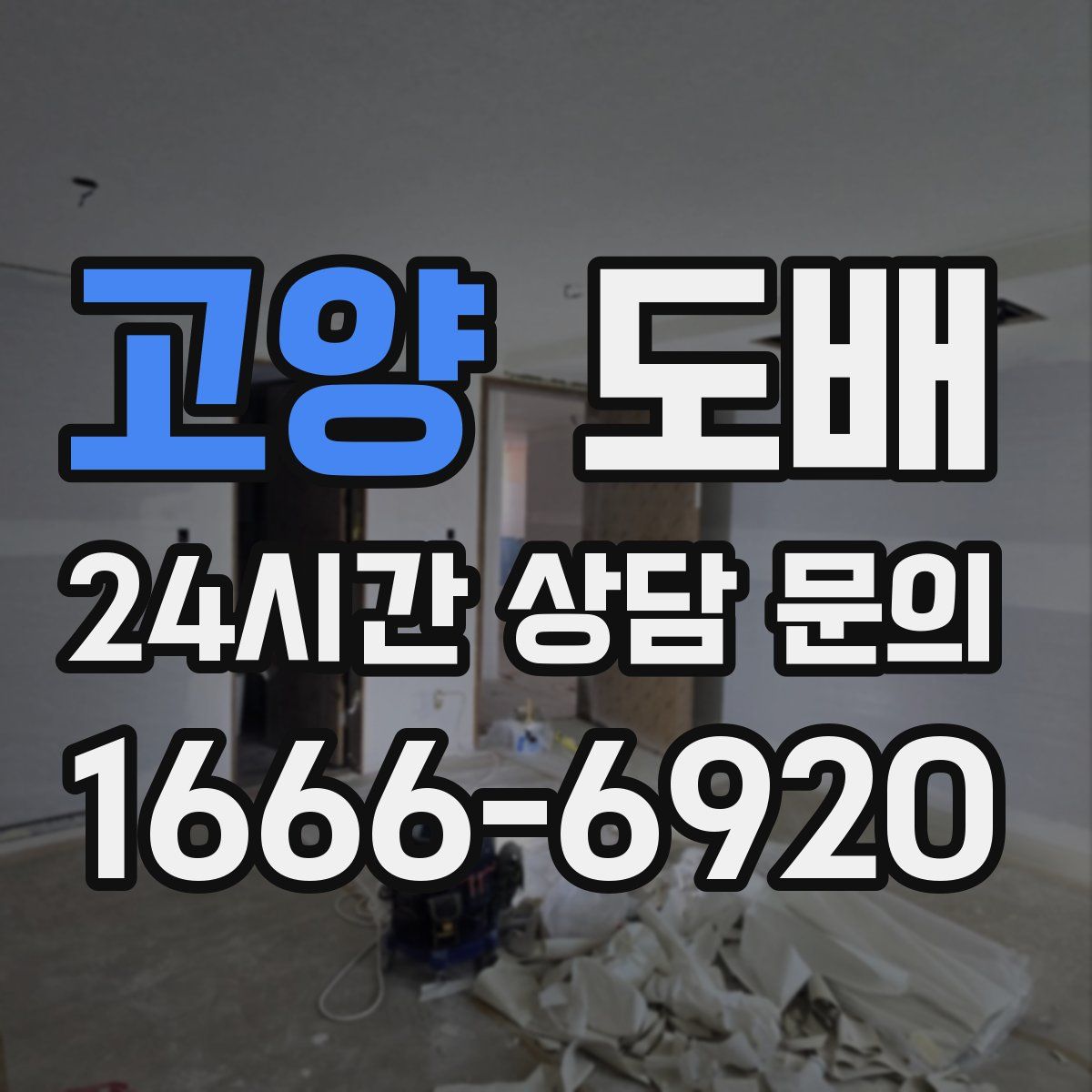 고양 도배