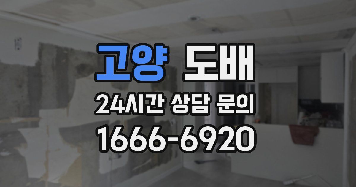 고양 도배