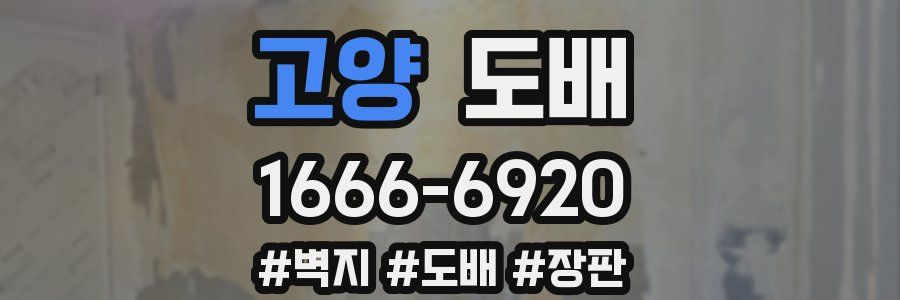 고양 도배