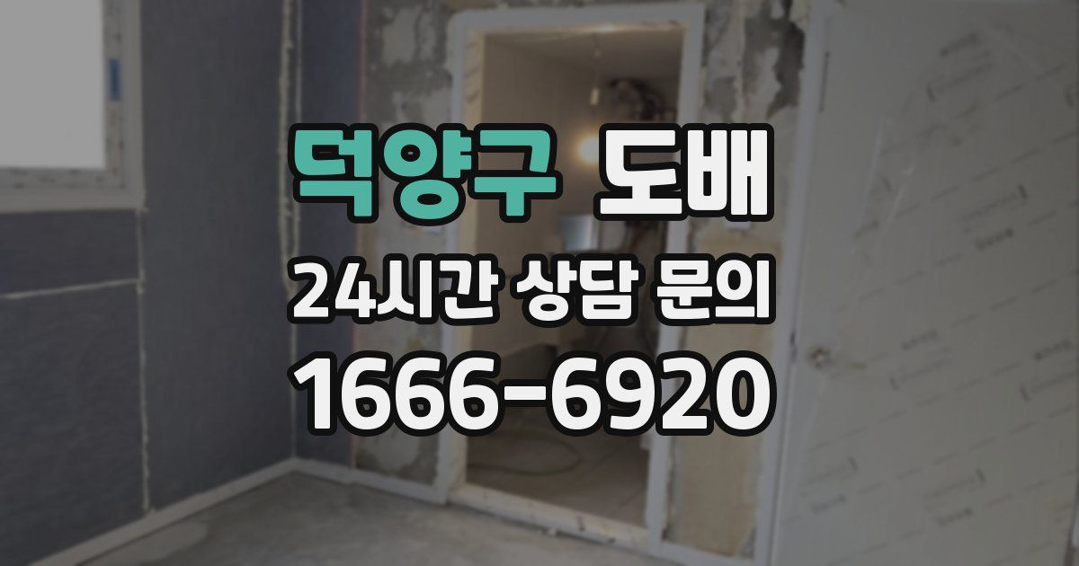 덕양구 도배
