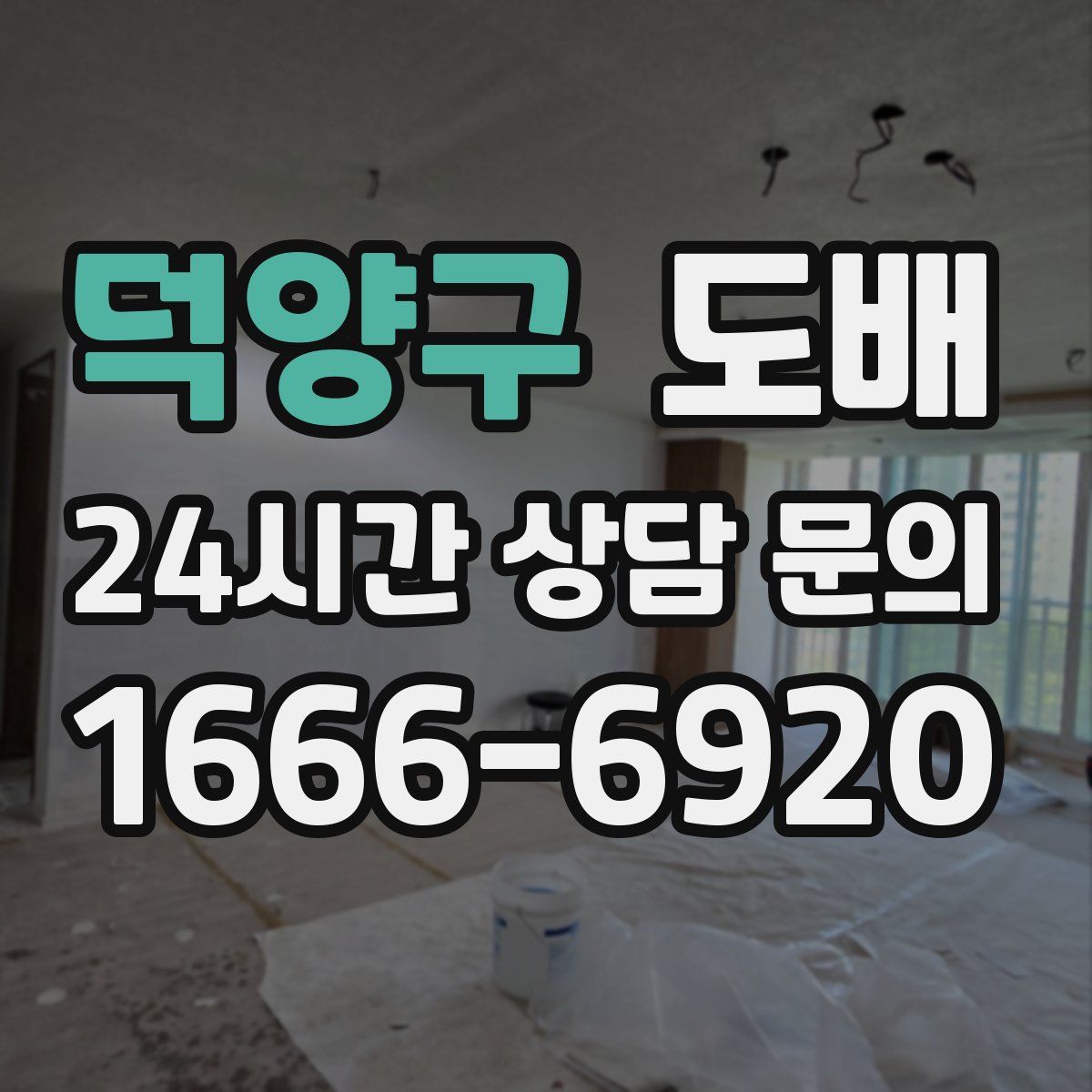 덕양구 도배