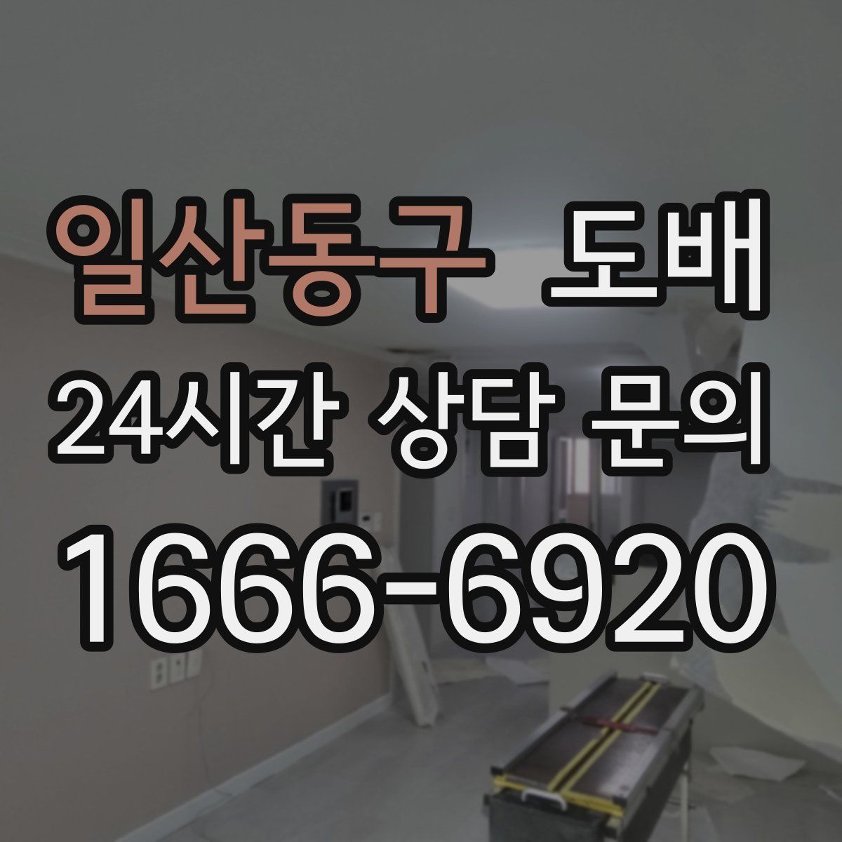 일산동구 도배