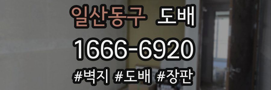 일산동구 도배