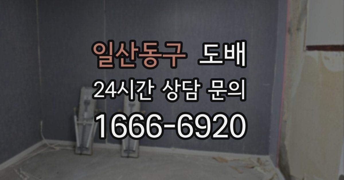 일산동구 도배