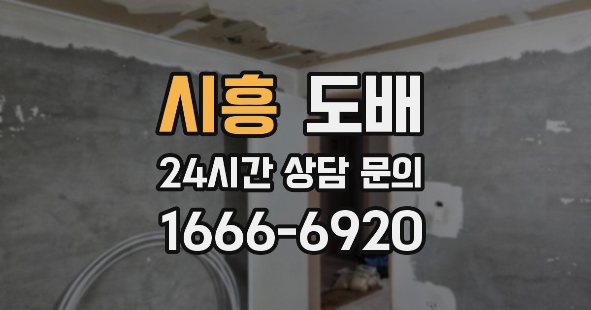 시흥 도배