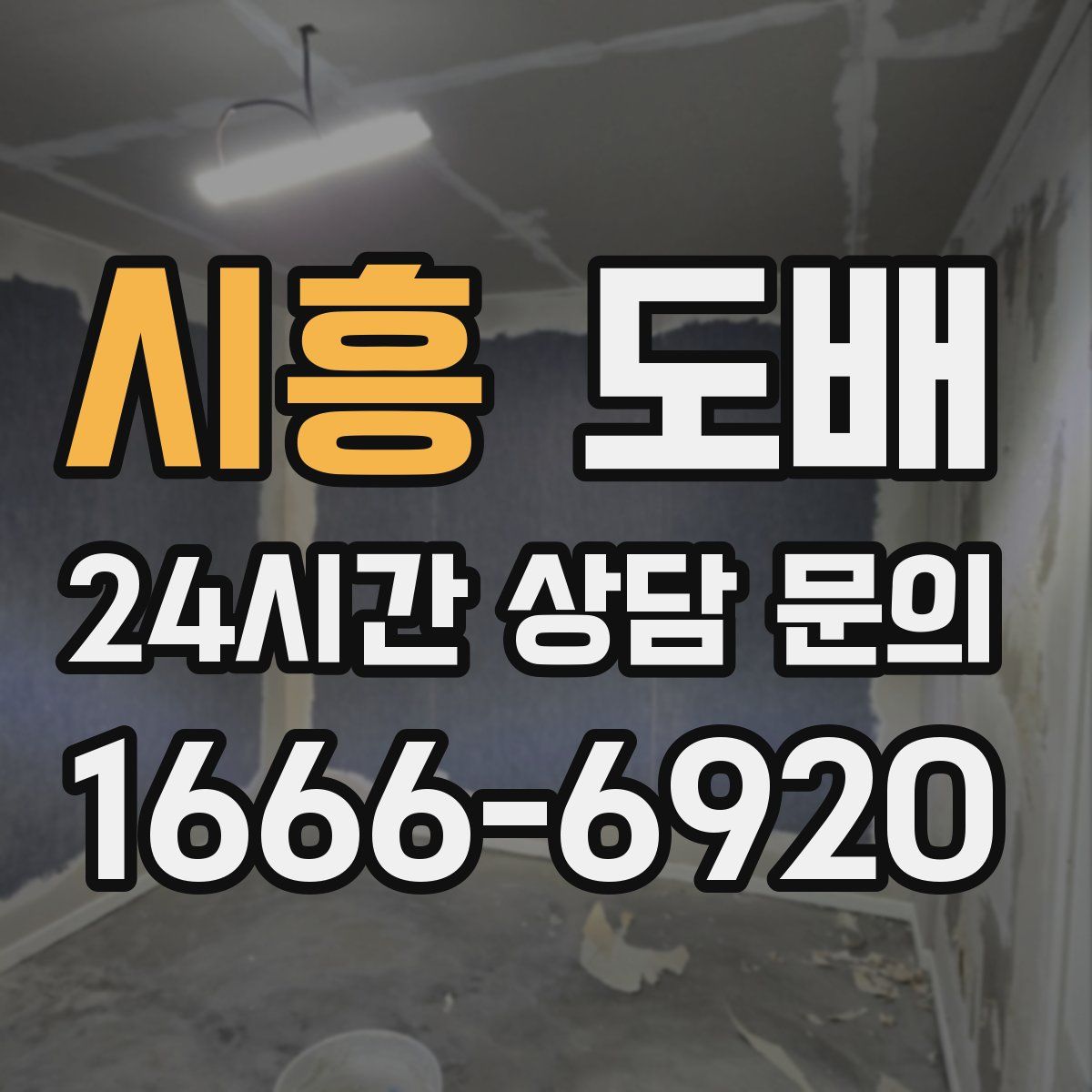 시흥 도배
