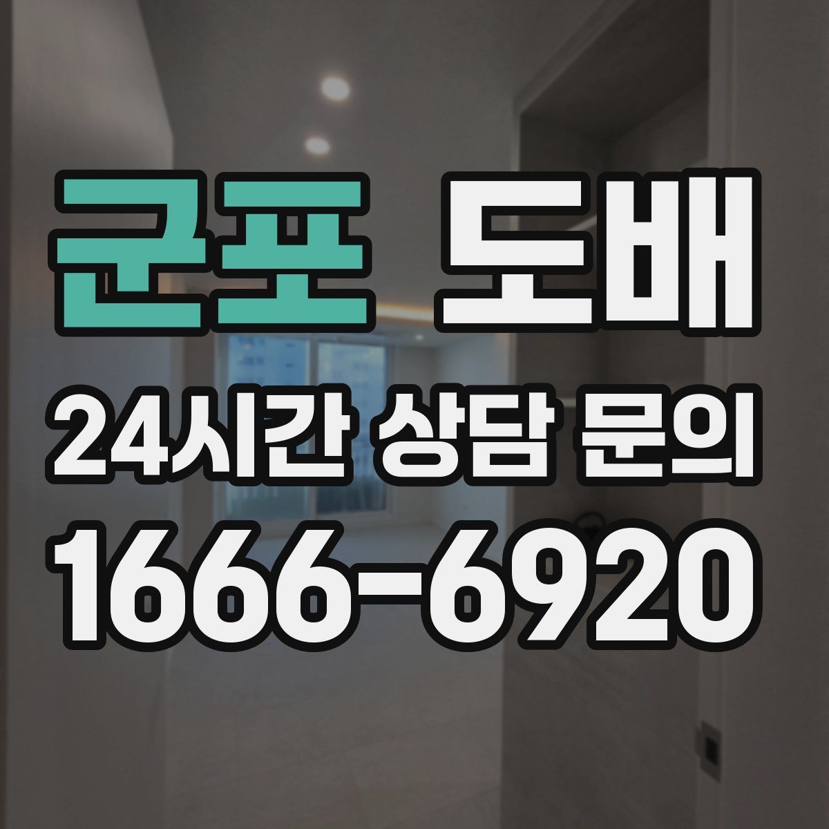 군포 도배