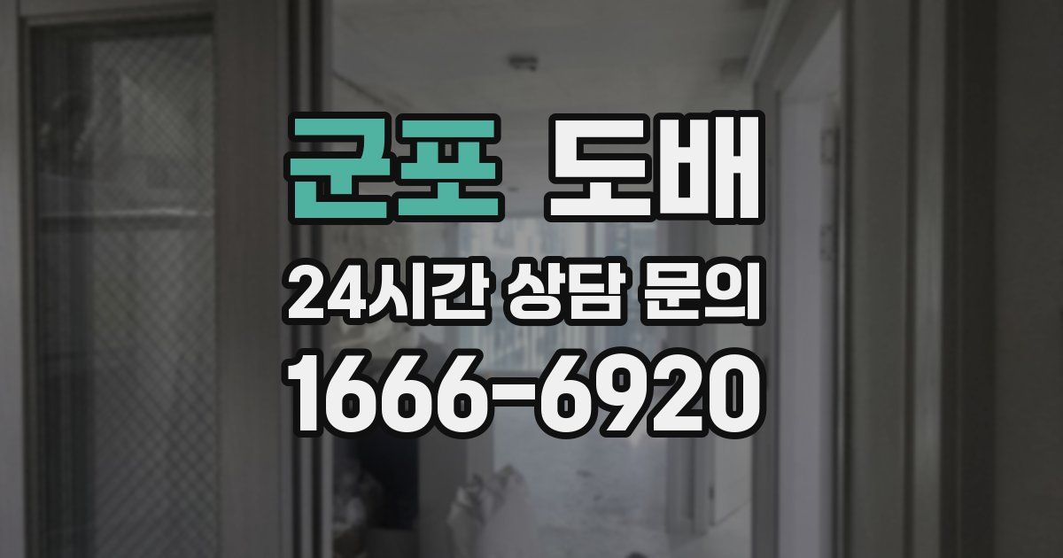 군포 도배
