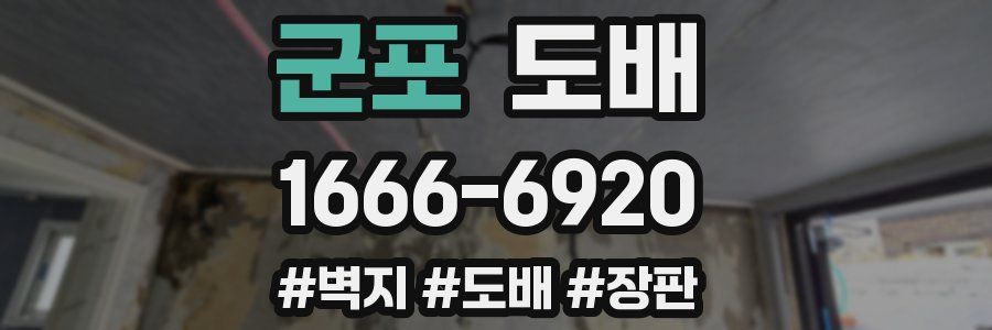 군포 도배