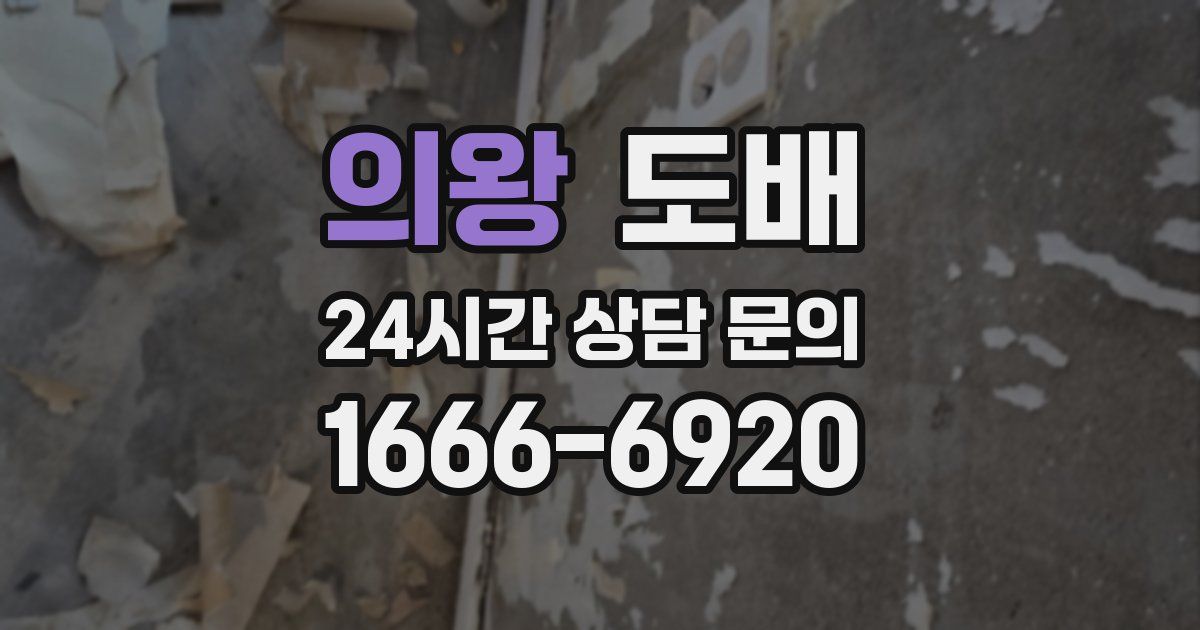 의왕 도배