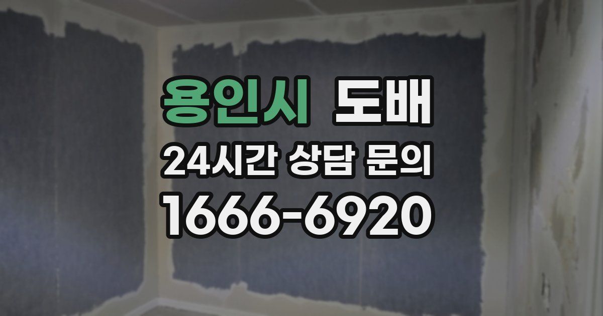 용인시 도배