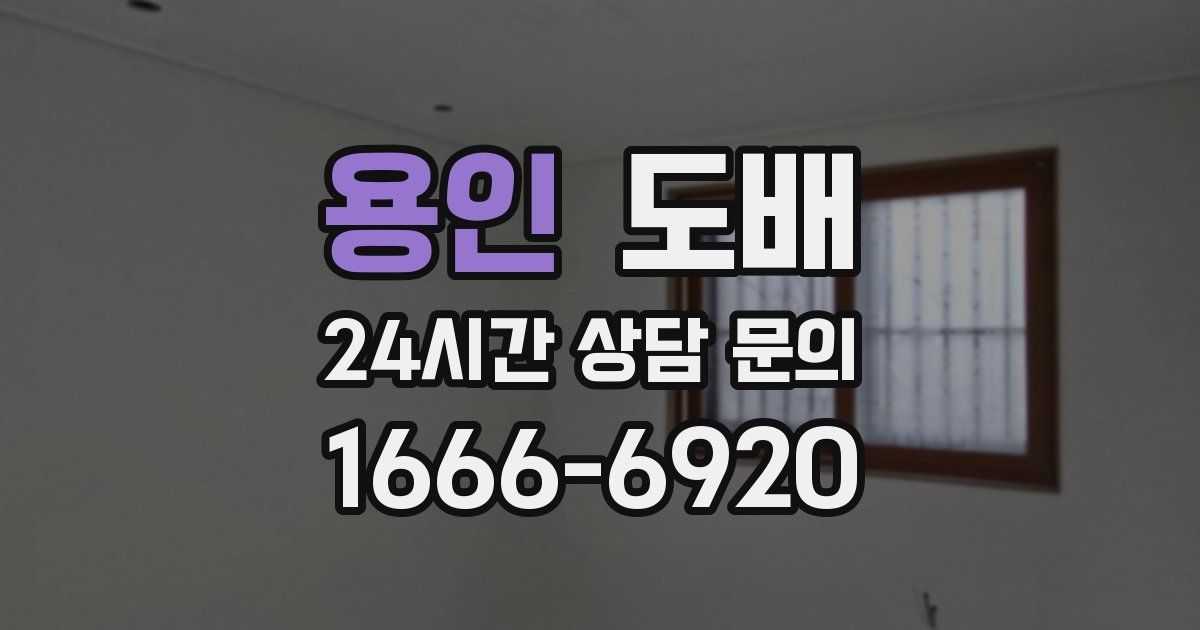 용인 도배