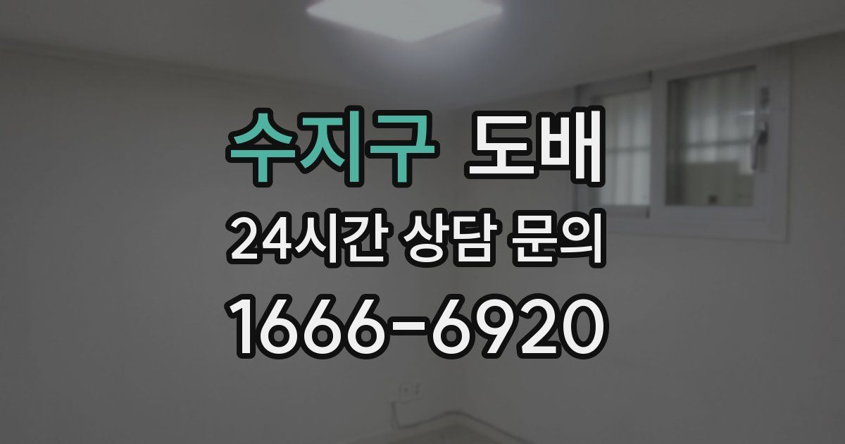 수지구 도배