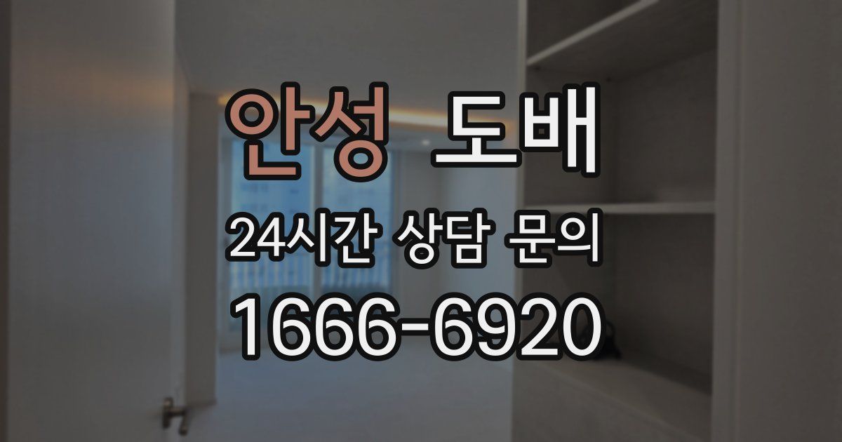 안성 도배