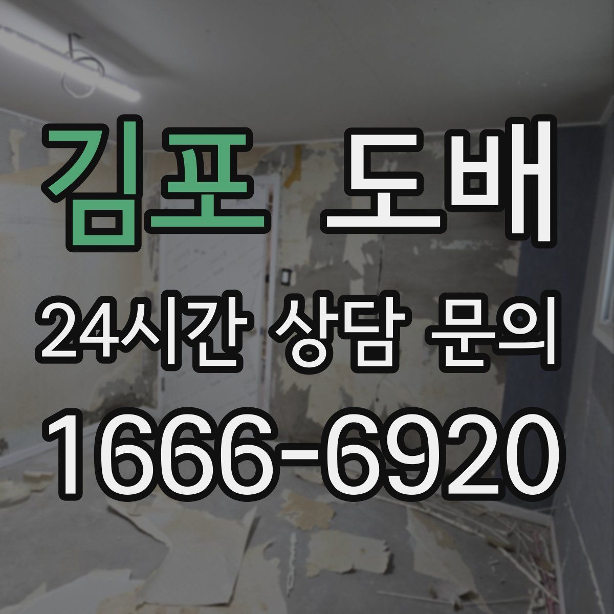 김포 도배