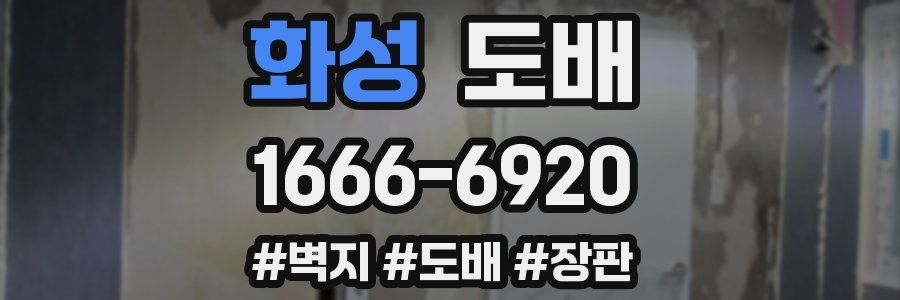 화성 도배