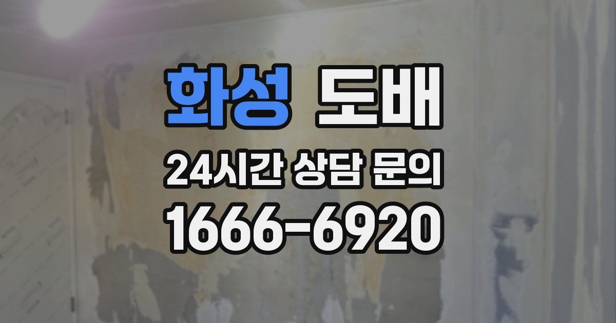 화성 도배