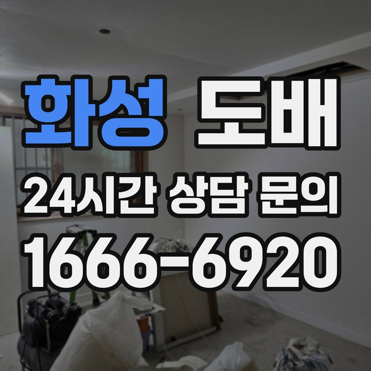 화성 도배