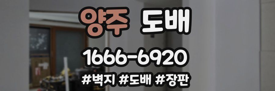 양주 도배