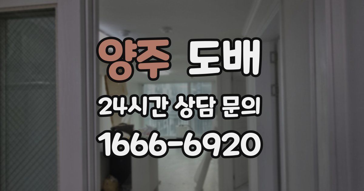 양주 도배