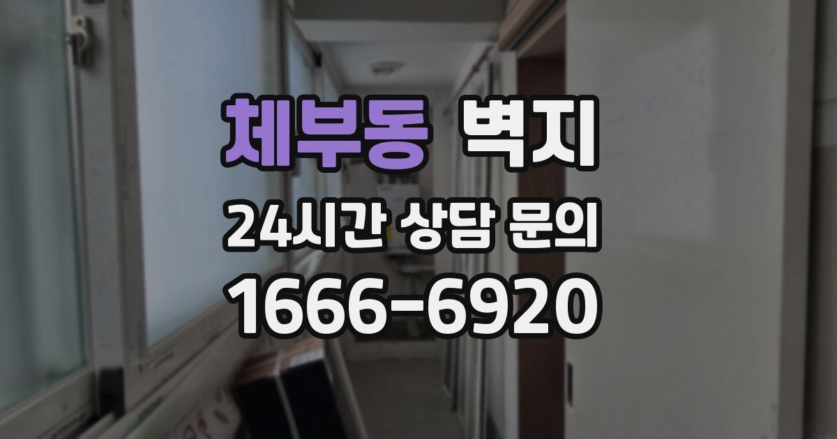 체부동 벽지