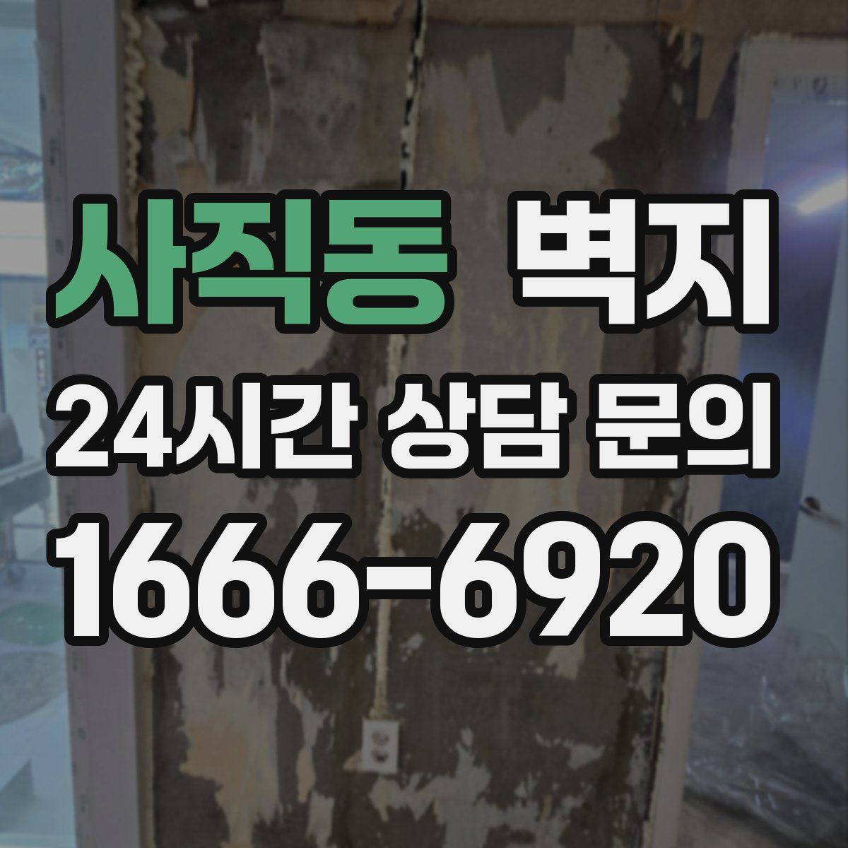 사직동 벽지