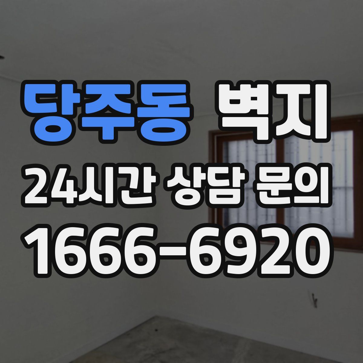 당주동 벽지