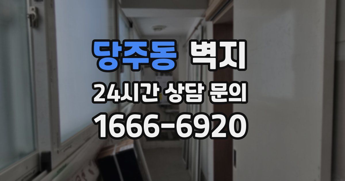 당주동 벽지