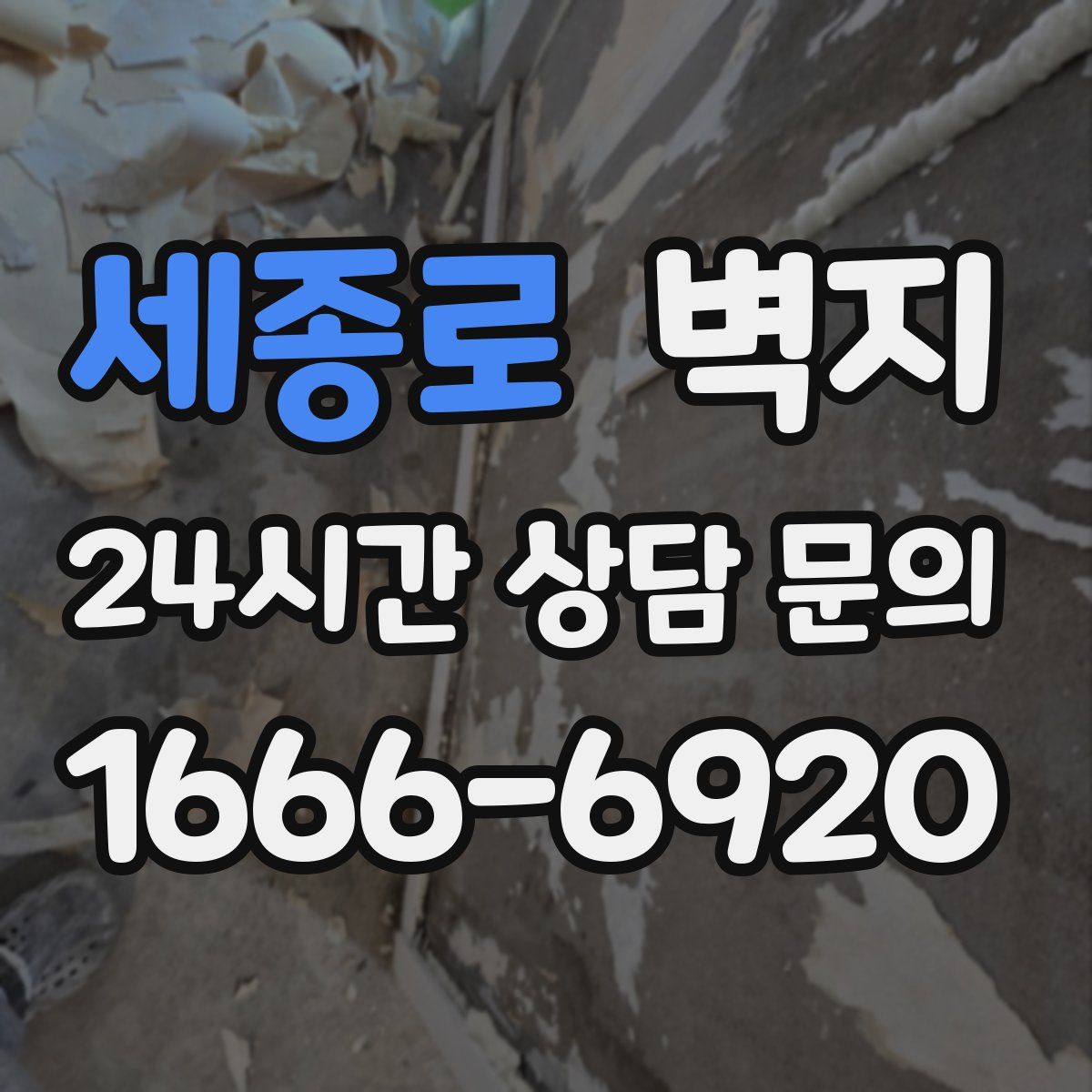 세종로 벽지