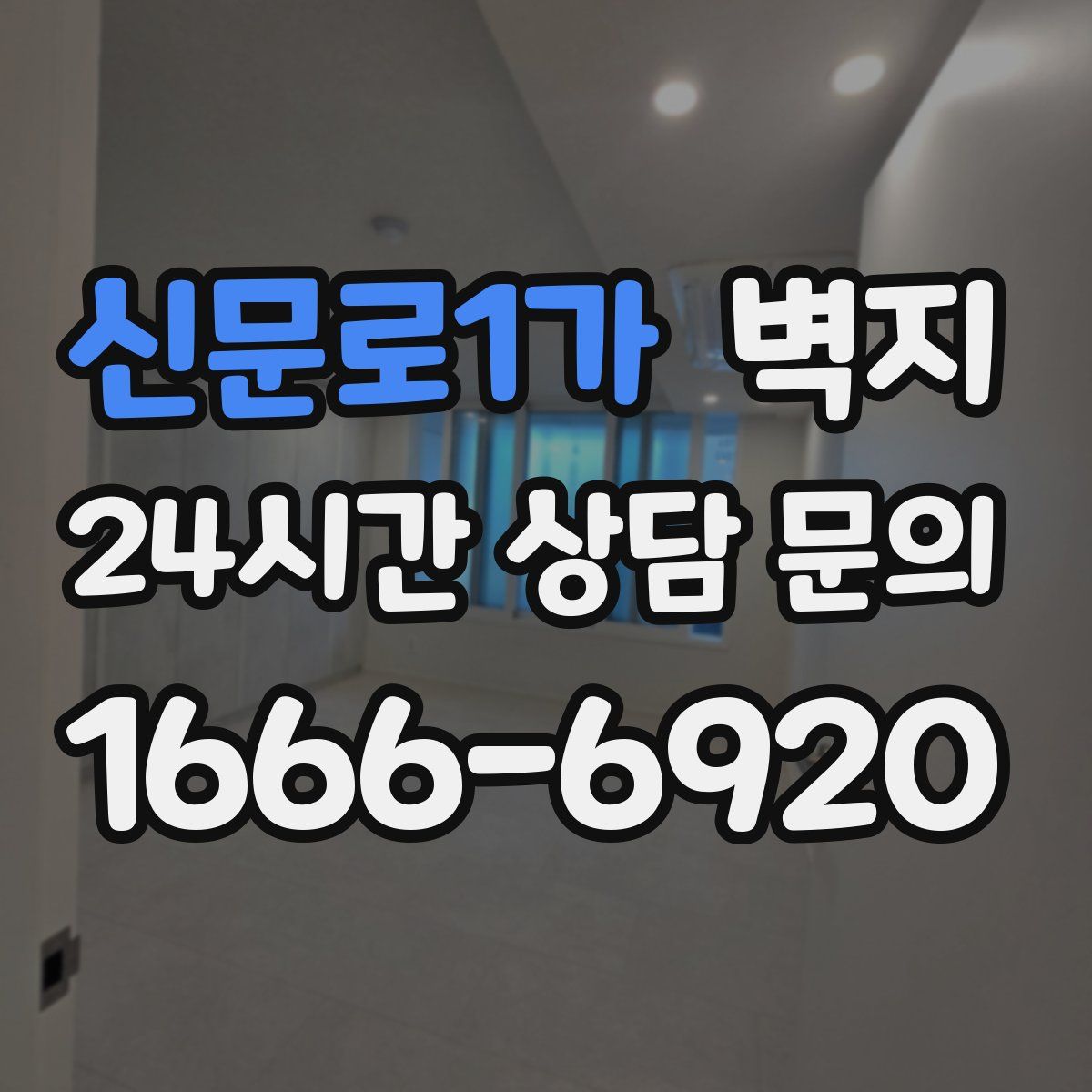 신문로1가 벽지