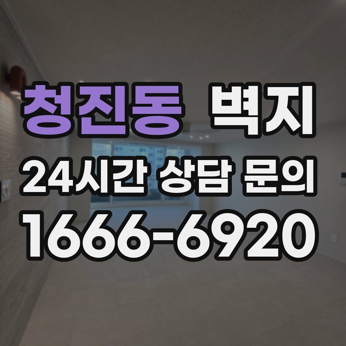 청진동 벽지
