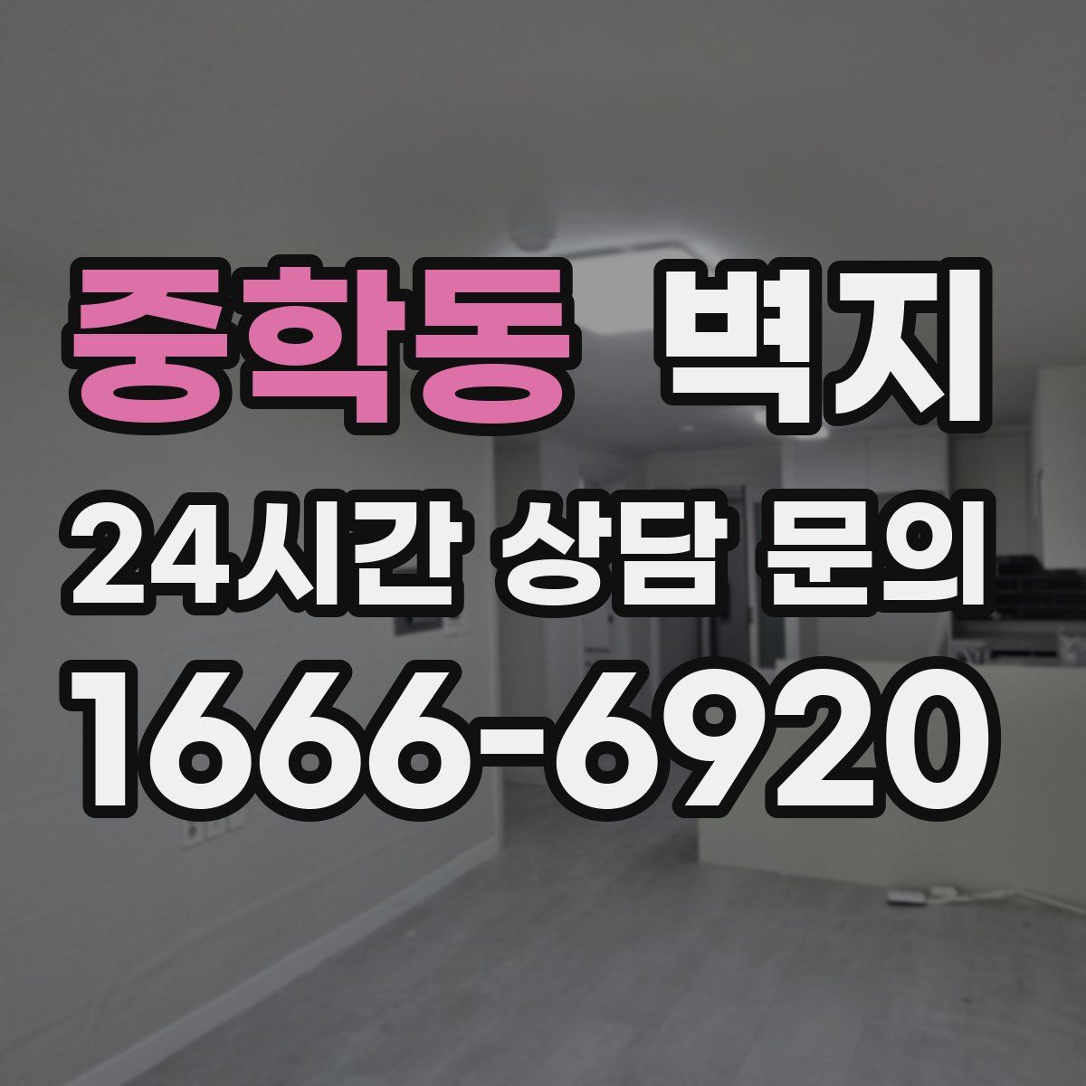 중학동 벽지