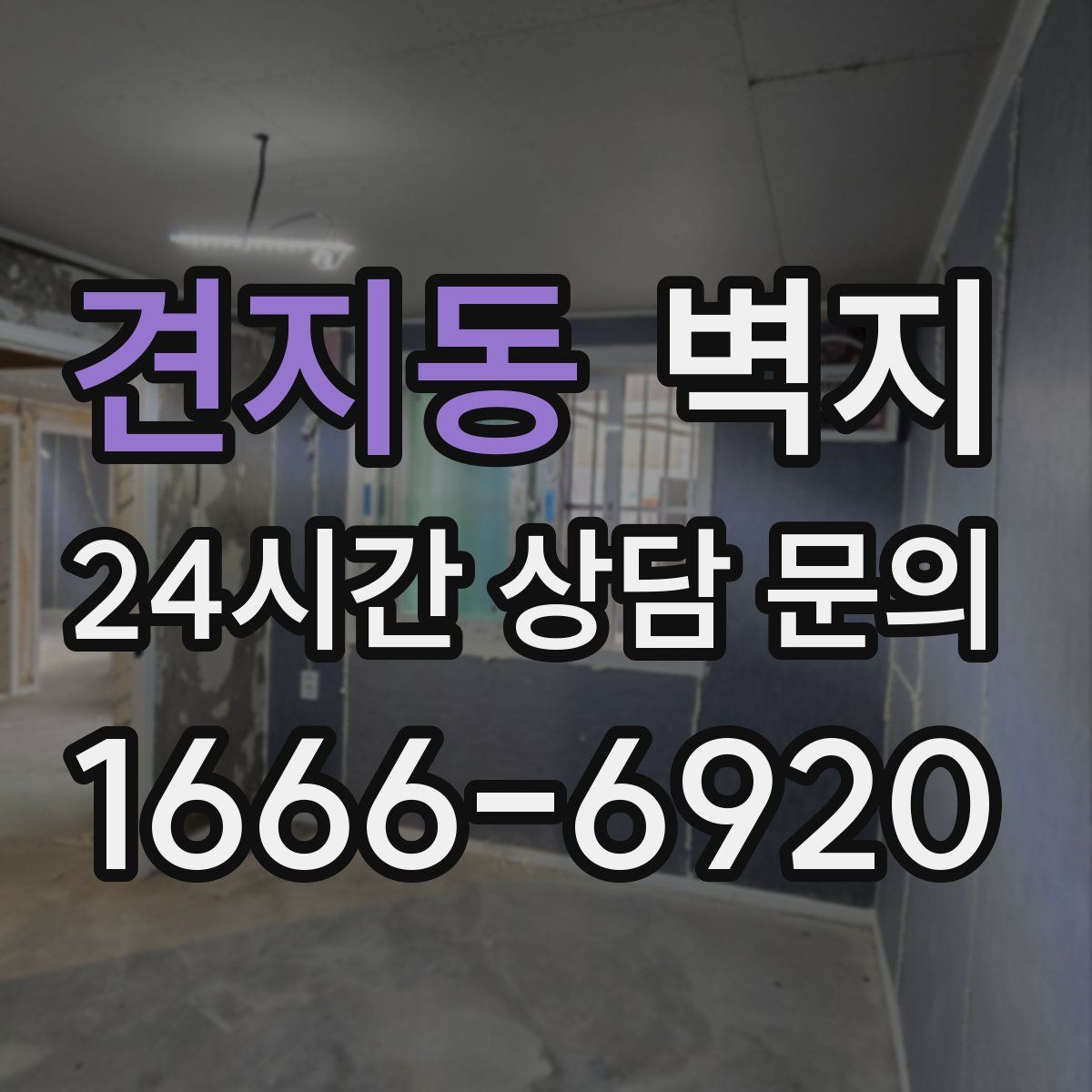 견지동 벽지