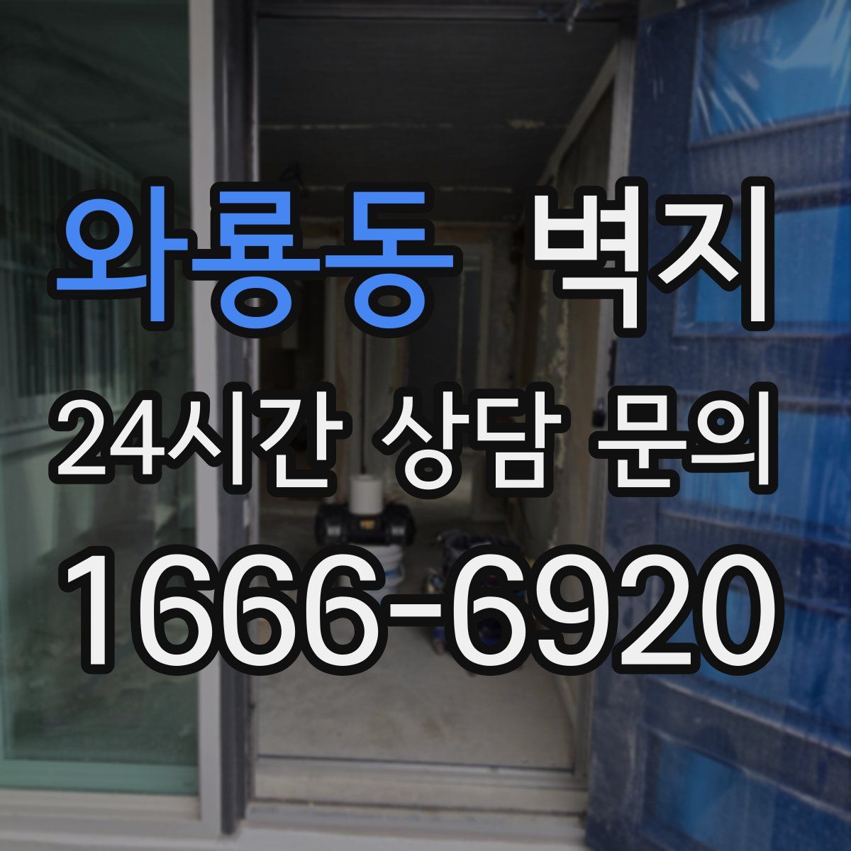 와룡동 벽지