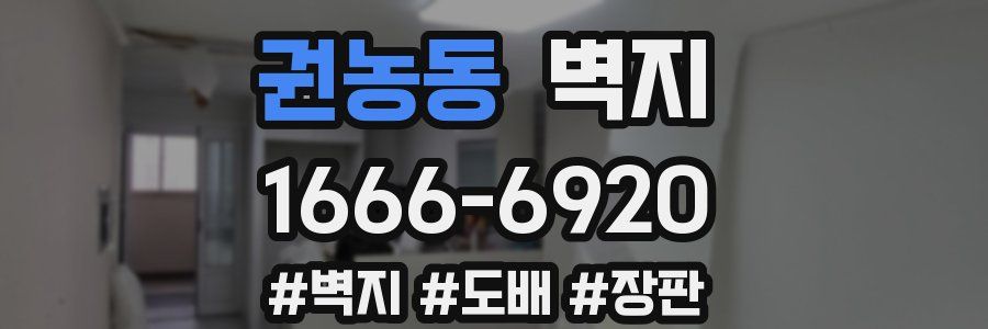 권농동 벽지