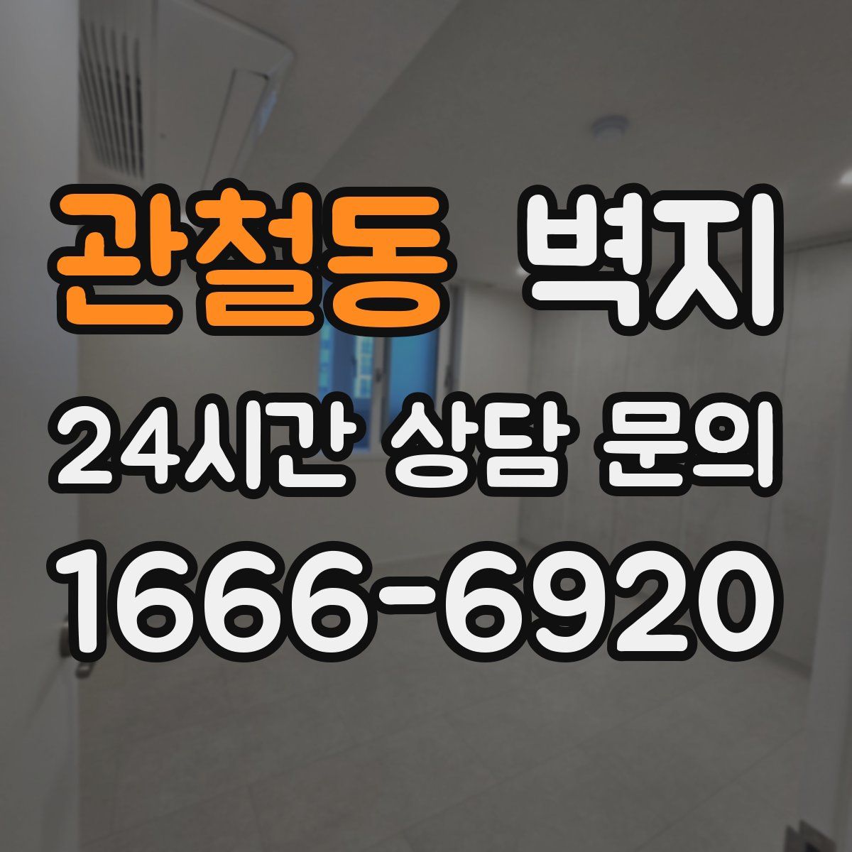 관철동 벽지
