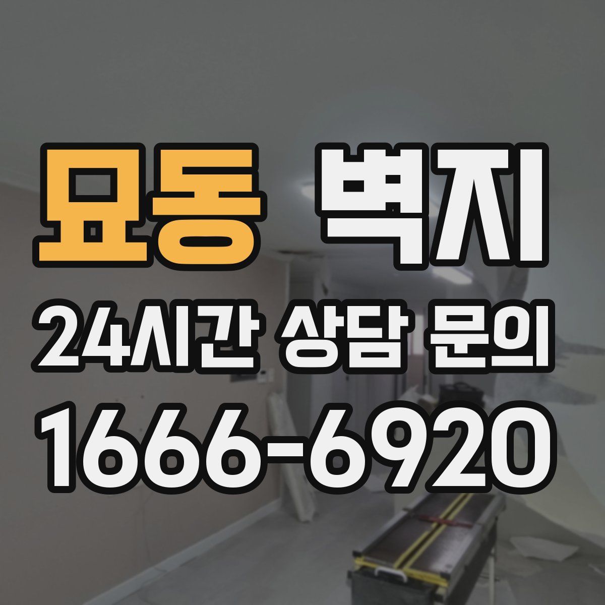 묘동 벽지